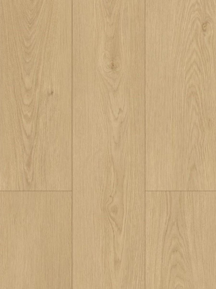 Hydrocore Laminate 8mm - Fortune Cookie (WF801)