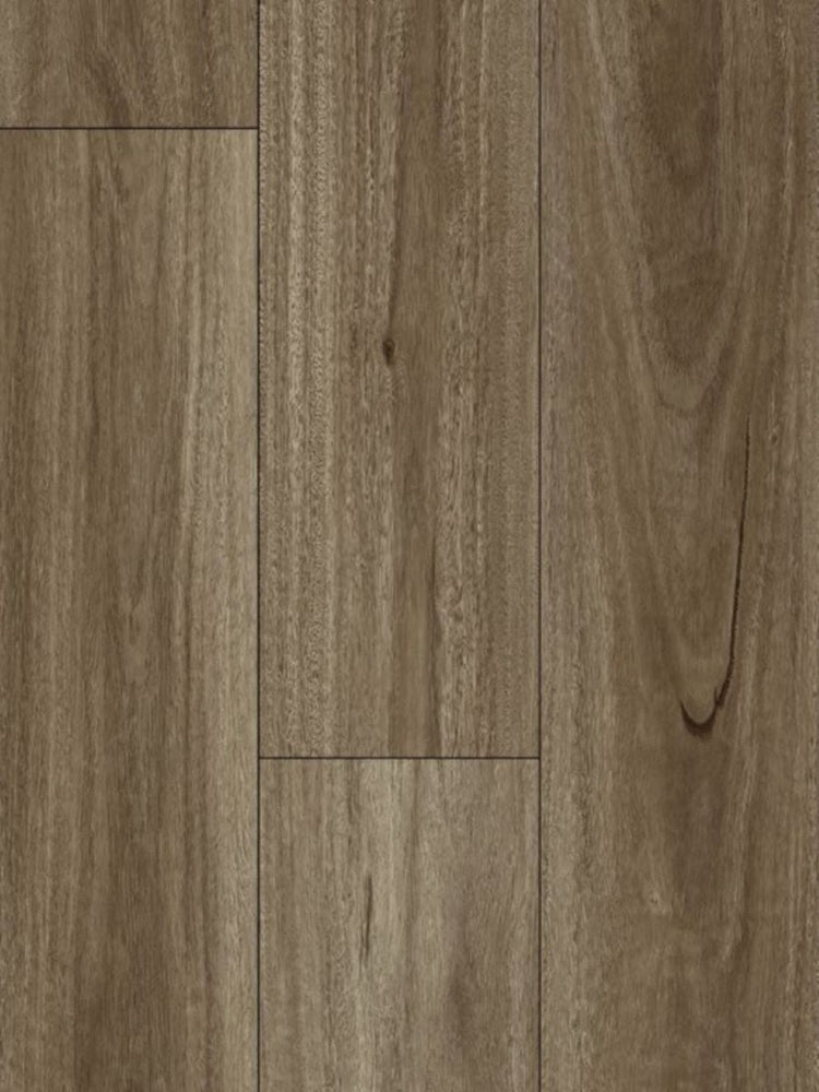 Hydrocore Laminate 8mm - Spotted Gum (WF808)
