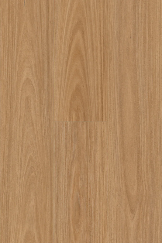 Topdeck Pantora Lifestyle Collection Raw Blackbutt Laminate Flooring
