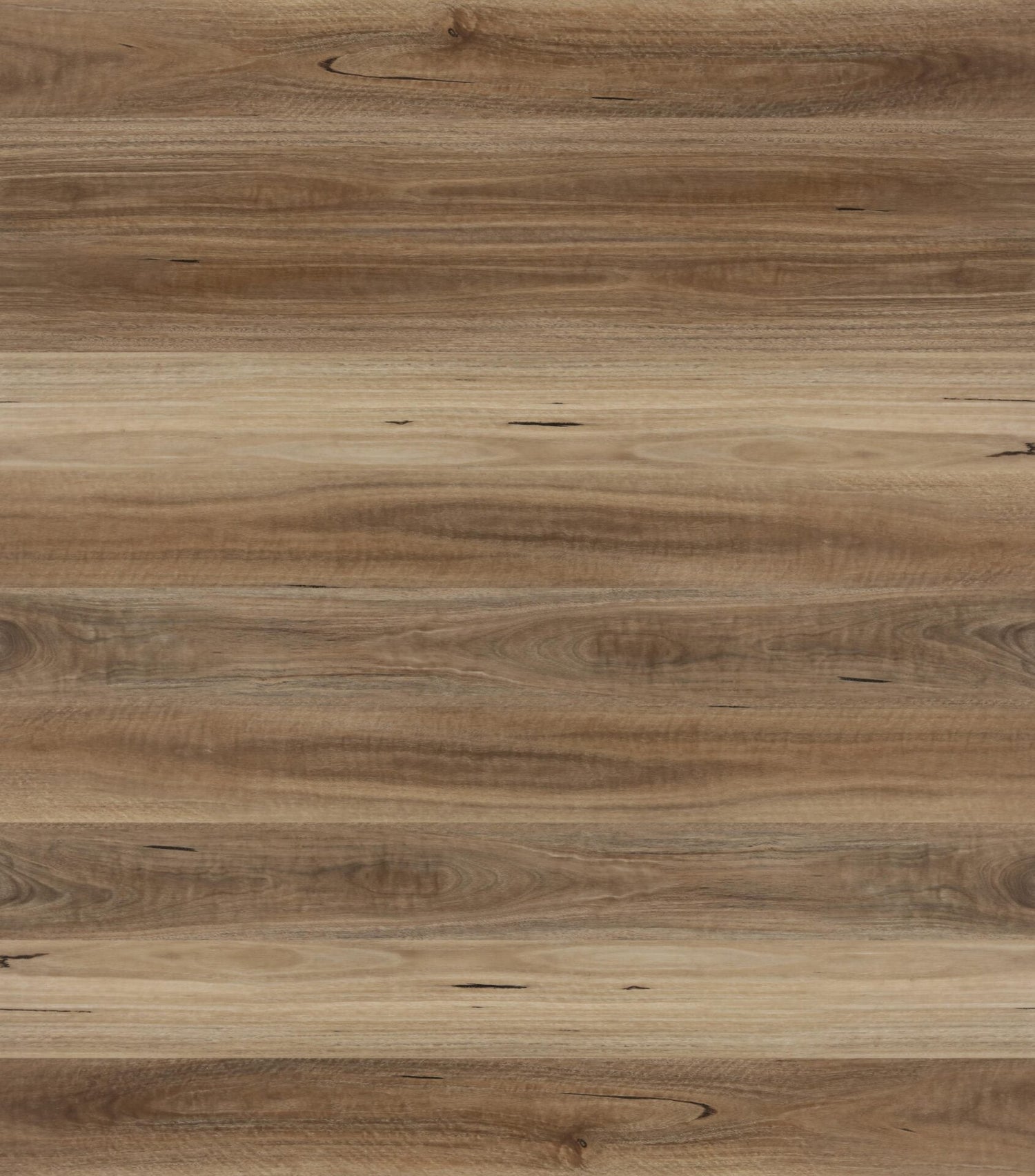 Avala Spotted Gum Hybrid Flooring
