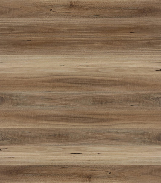 Avala Spotted Gum Hybrid Flooring