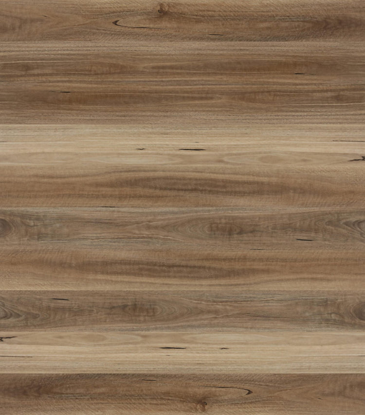 Avala Spotted Gum Hybrid Flooring