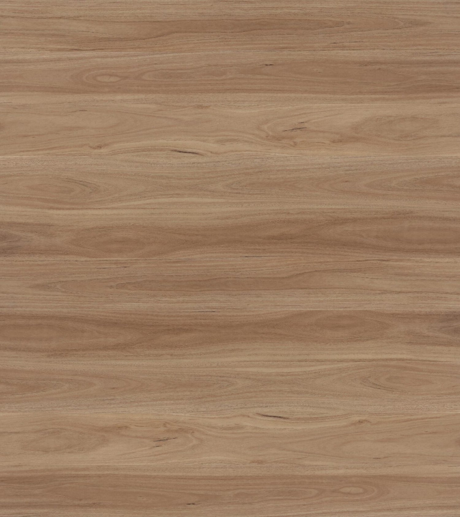 Topdeck Avala Blackbutt Hybrid Flooring
