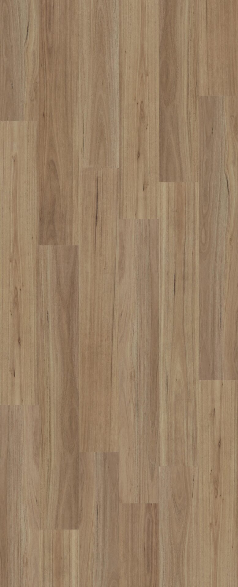 Lumiere Ultra HD Blackbutt Hybrid Flooring