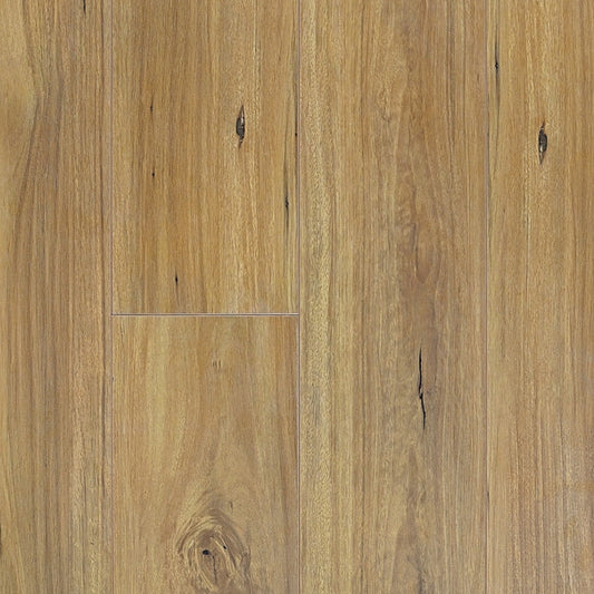 Prime Contemporary Plus New England Blackbutt Laminate Flooring