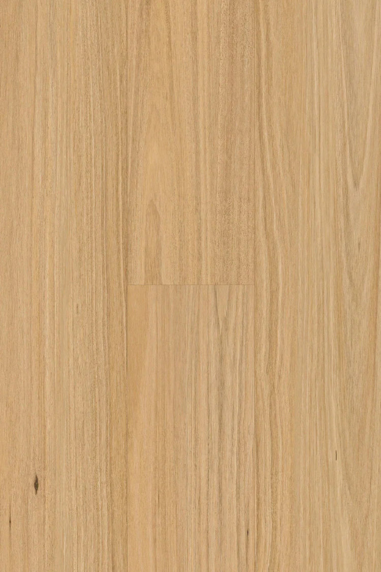 Topdeck Pantora Amor Collection Blackbutt Laminate Flooring