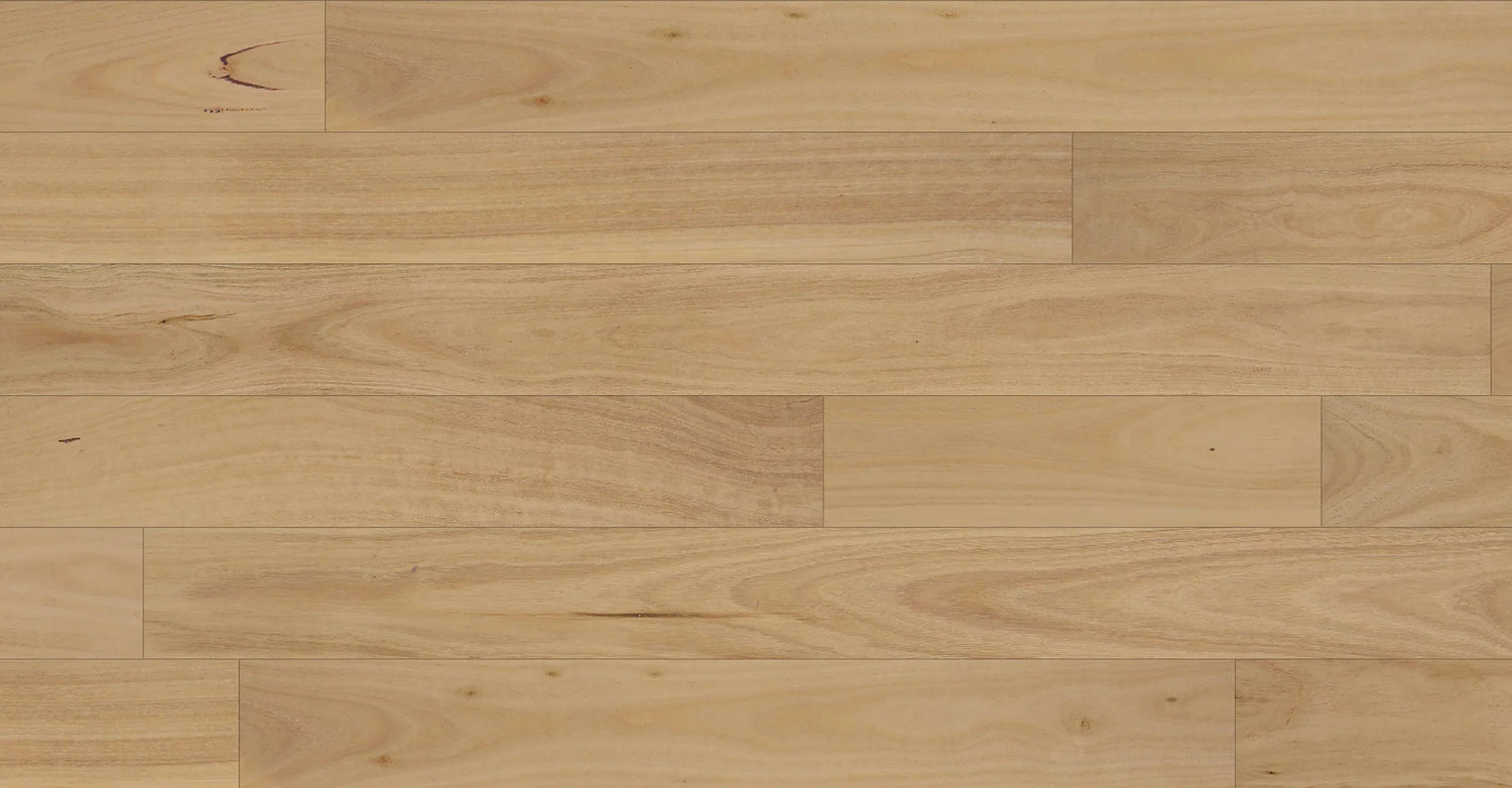 NFD Daintree XL Blackbutt Engineered Timber Flooring