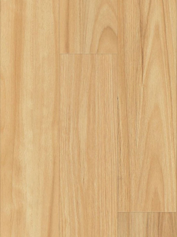 ⁠Hydrocore Laminate 8mm - Blackbutt (WF807)