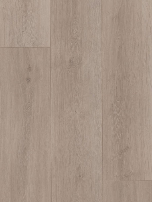MTF Laminate 12mm - Driftwood (MTFA108)