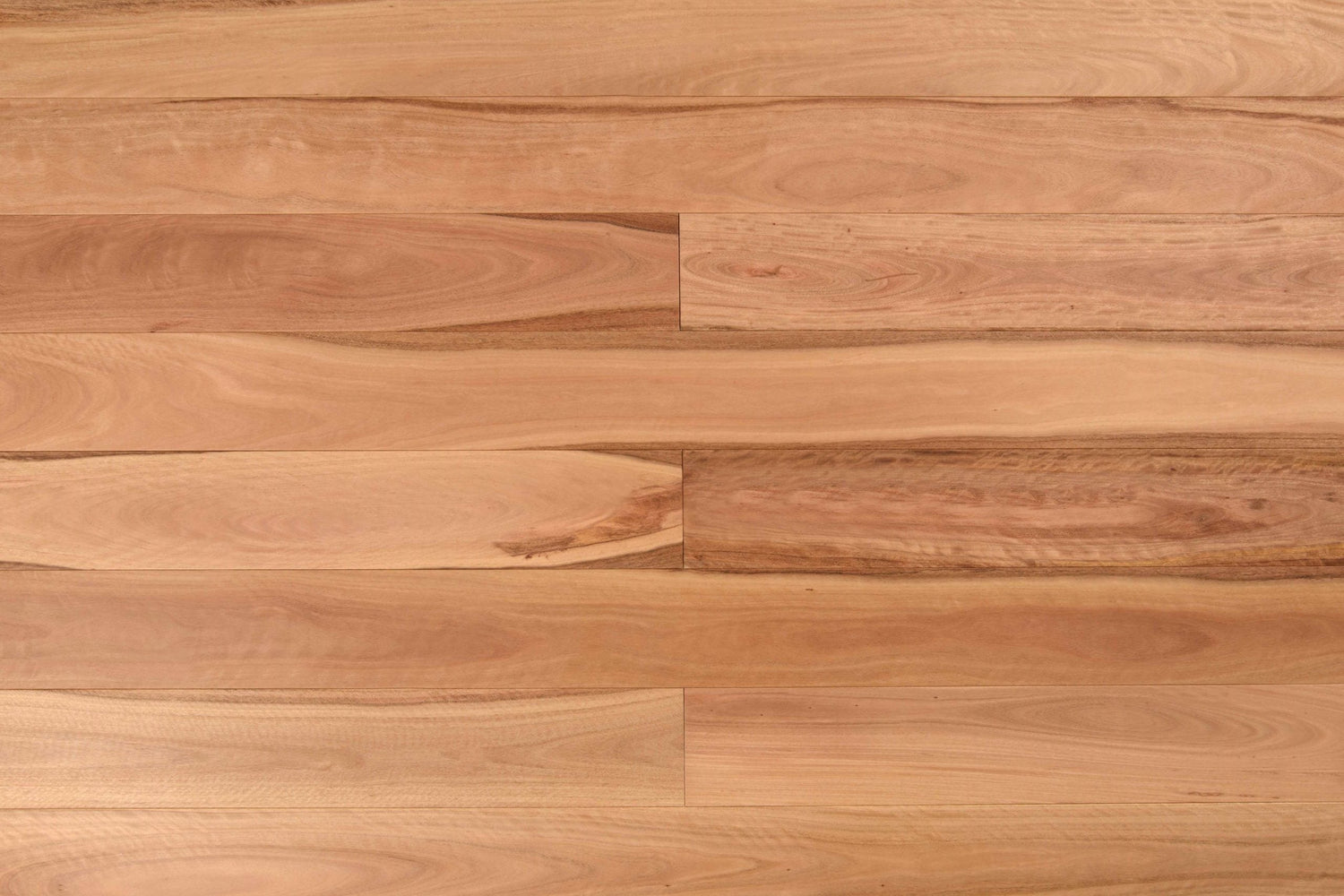 Wooden-Land Pacific Blackbutt Engineered Timber Flooring