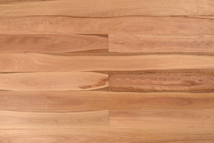 Wooden-Land Pacific Blackbutt Engineered Timber Flooring